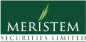 Meristem Securities Limited logo