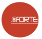 ION-FORTE LTD logo