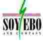 Soyebo and Company logo