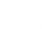 Suretree Systems logo